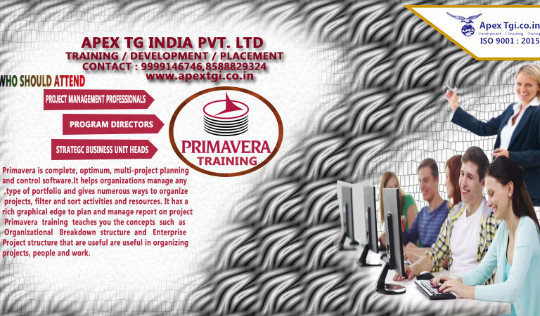 Primavera Training in Noida