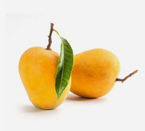 Buy Devgad & Ratnagiri Mango Online in India | Alphonso Mangoes