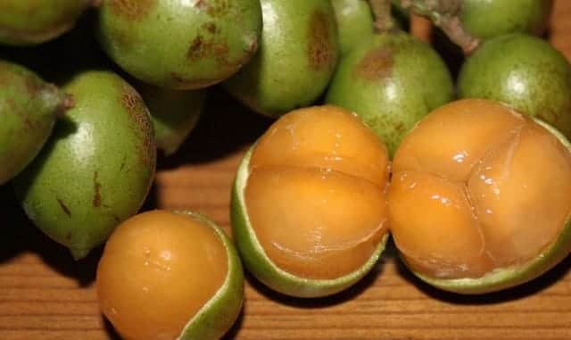 Health Benefits Of Quenepas