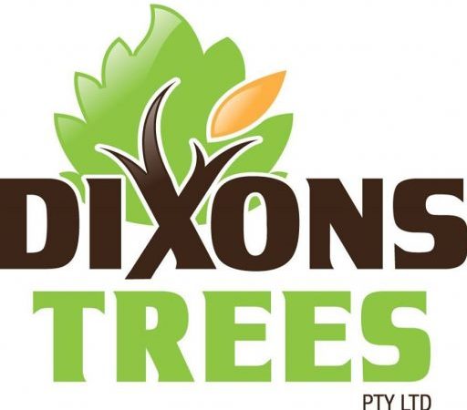 Tree Removal Services | Tree Services Sydney | Dixon’s Trees