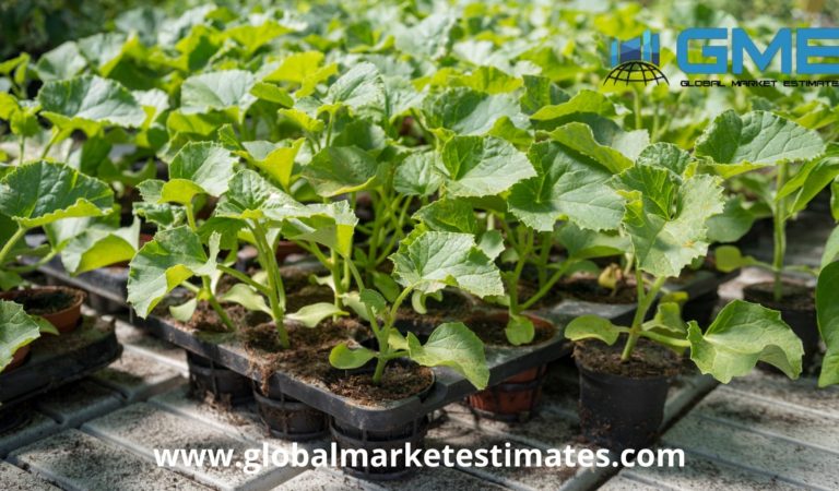 Global Commercial Seed Market – Forecasts to 2026