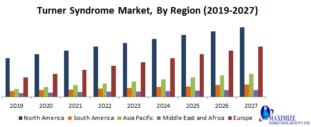 Turner Syndrome Market-Industry Analysis and forecast 2019 – 2027