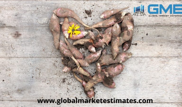 Global Inulin Market Research Report