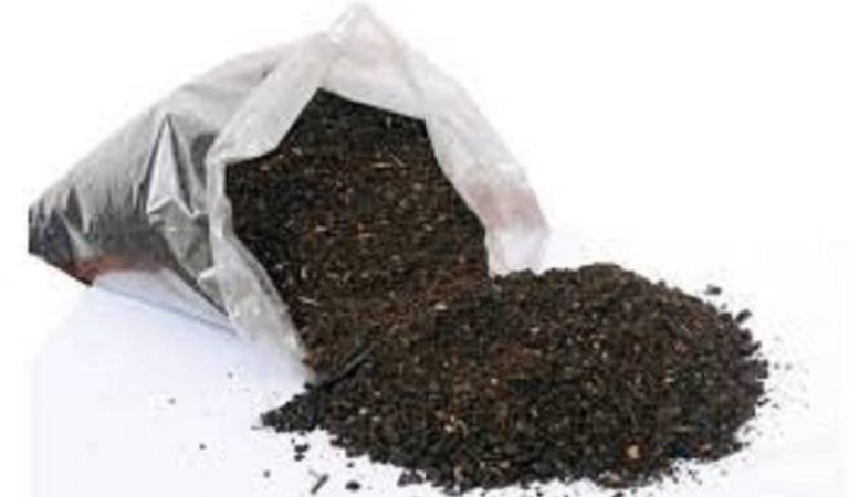 Best Vermicompost in chennai