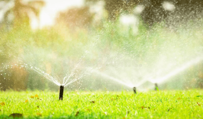 Things to Avoid When Landscaping in Hot Weather