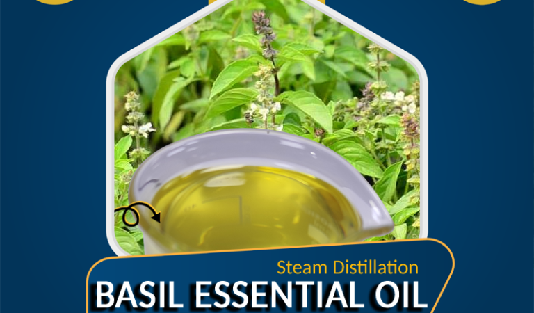 Scfe Oil, Basil Oil Supplier, Basil Co2 Extracts Oil Manufacturer : Ozone Naturals