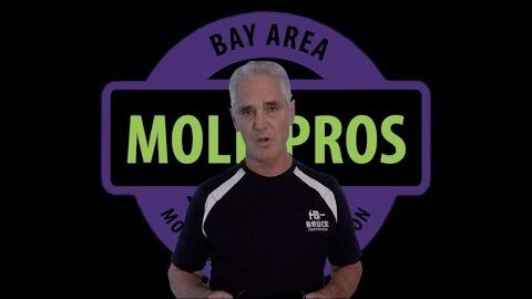 Mold Inspection & Testing San Francisco CA