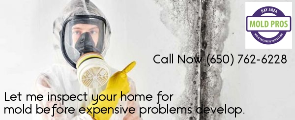 Commercial Mold Inspection And Mold Testing San Francisco Bay Area