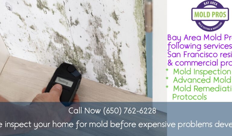 Mold Pros Standing Water