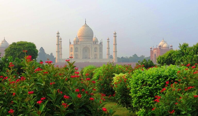 Agra Food Testing Tour