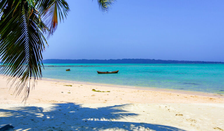 Explore the top Andaman adventure activities.